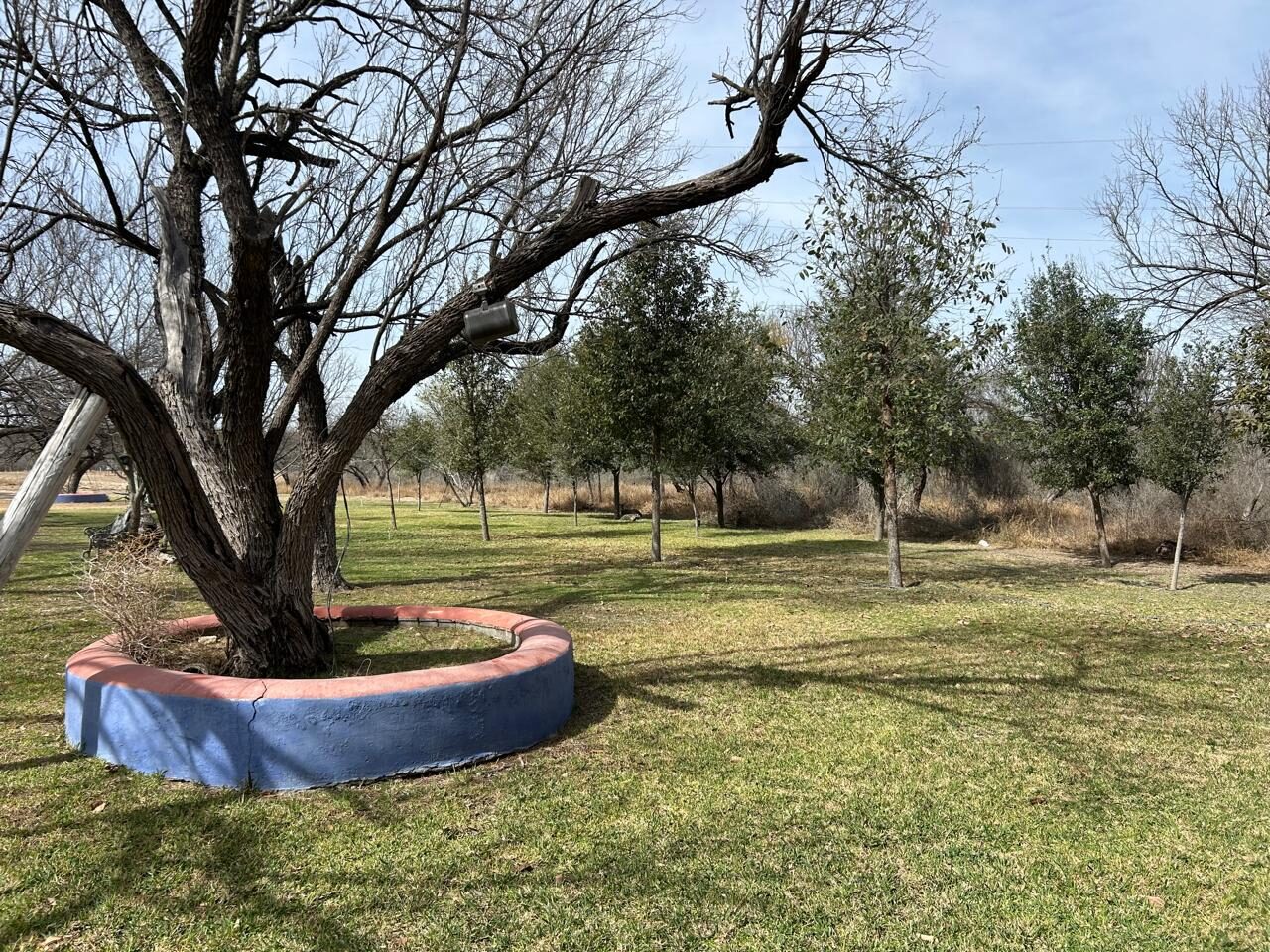 Huerta del rancho